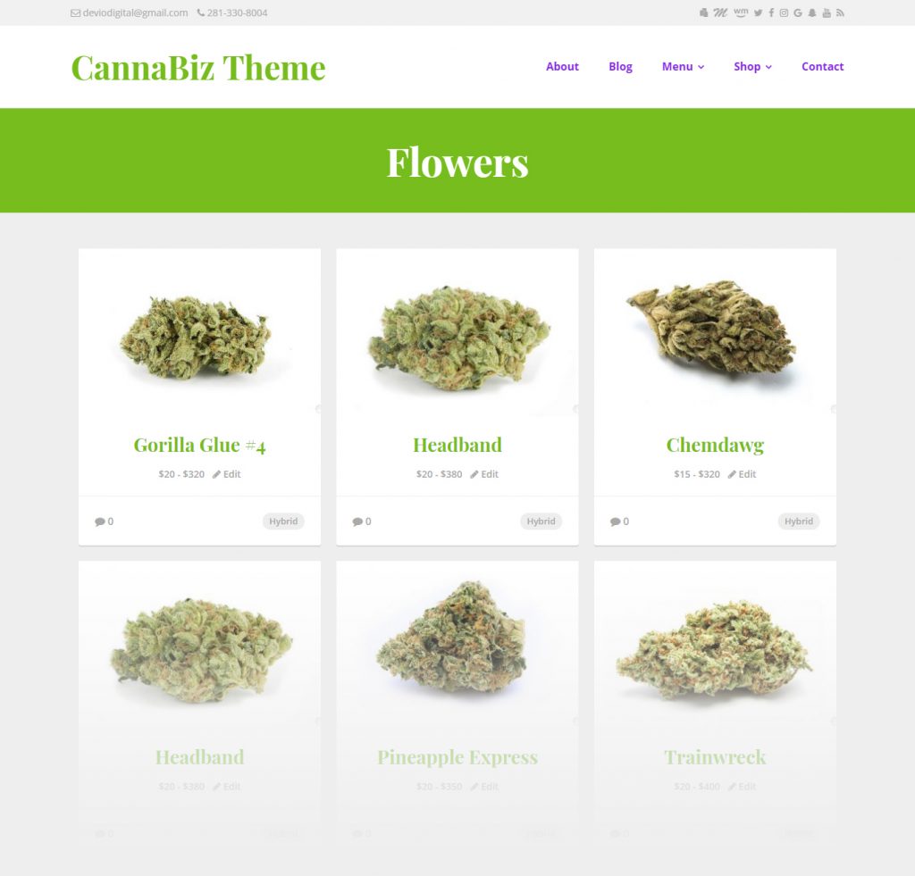 #1 Marijuana WordPress theme on the market - CannaBiz