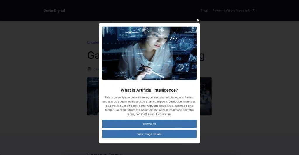 Gallery Modals frontend display example