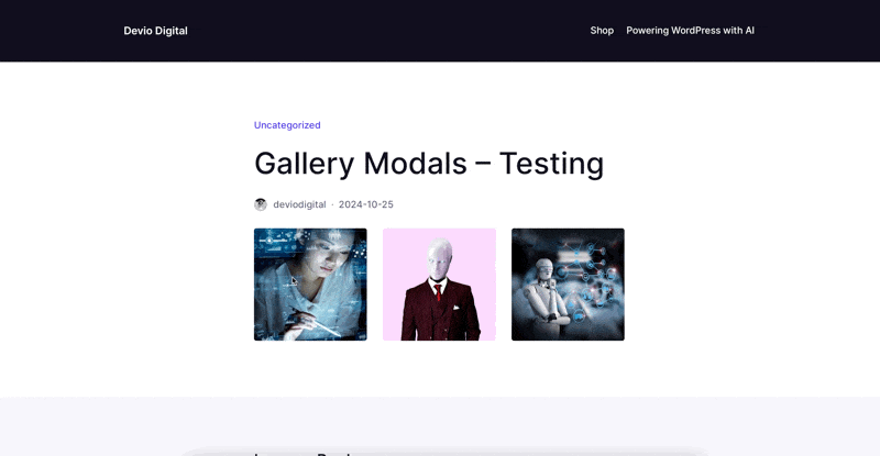 Gallery Modals for WordPress® GIF example