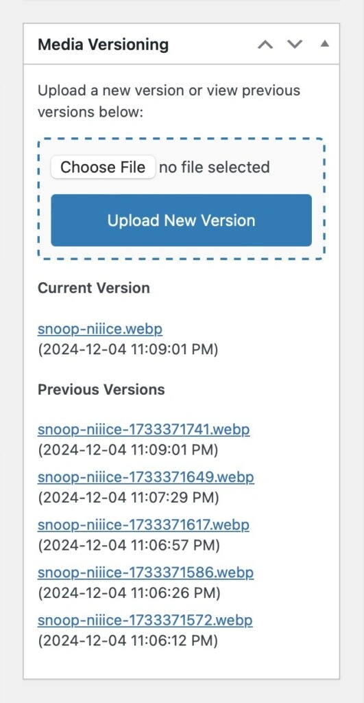 Media File Versioning - Metabox