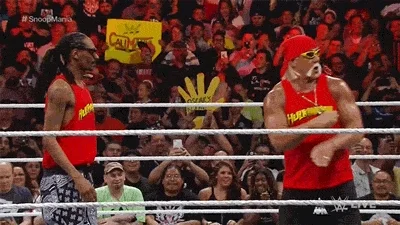 Snoop - Hogan - WWE GIF