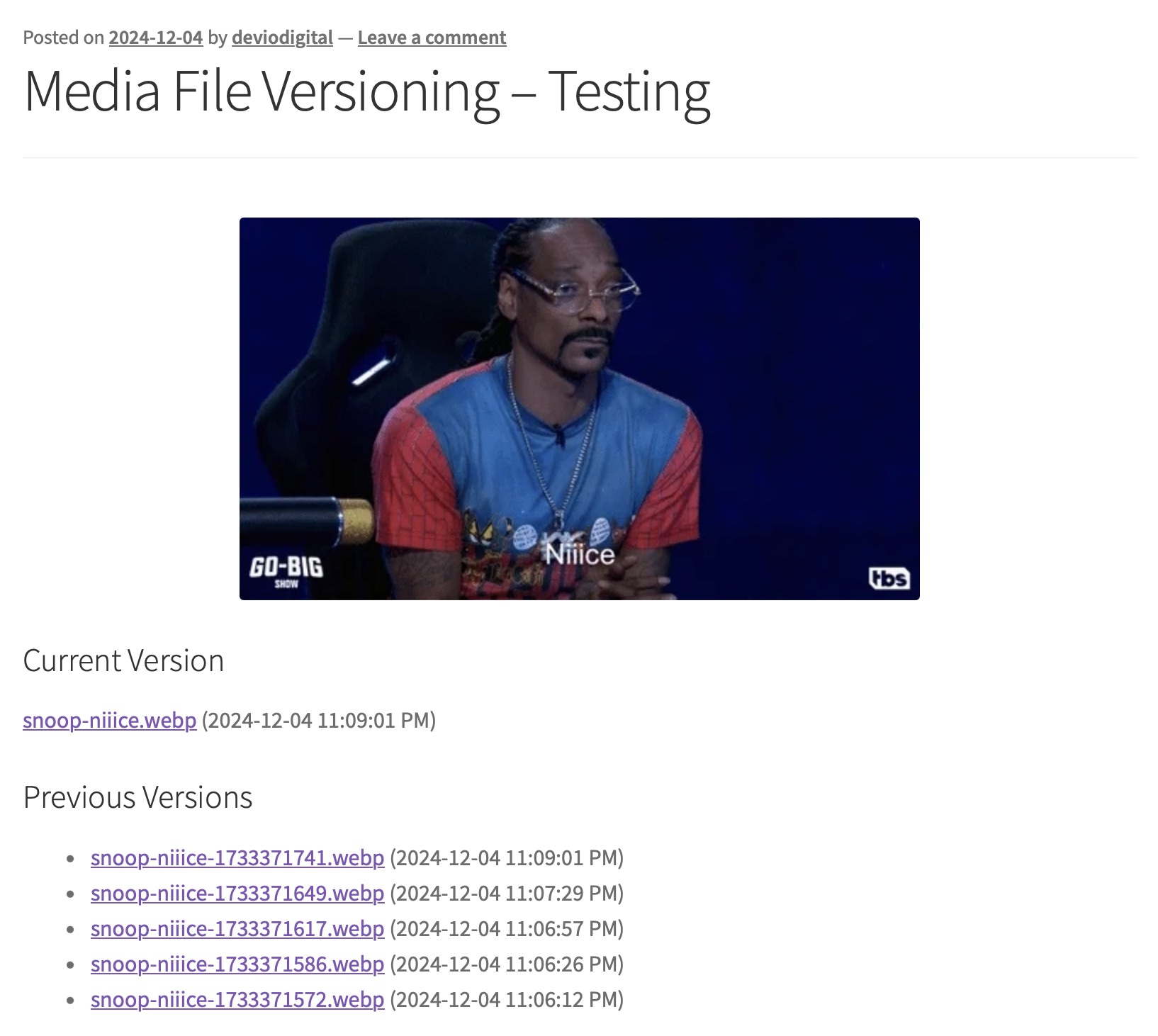 Media File Versioning - Shortcode display test